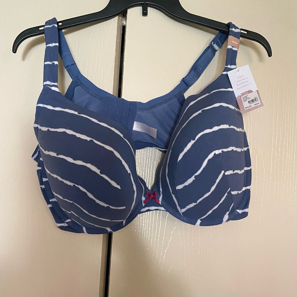 NWT Cacique Bra